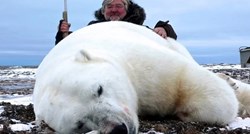 Naplaćuju 36.000 funti za ubijanje polarnih medvjeda, a monstrumi plaćaju